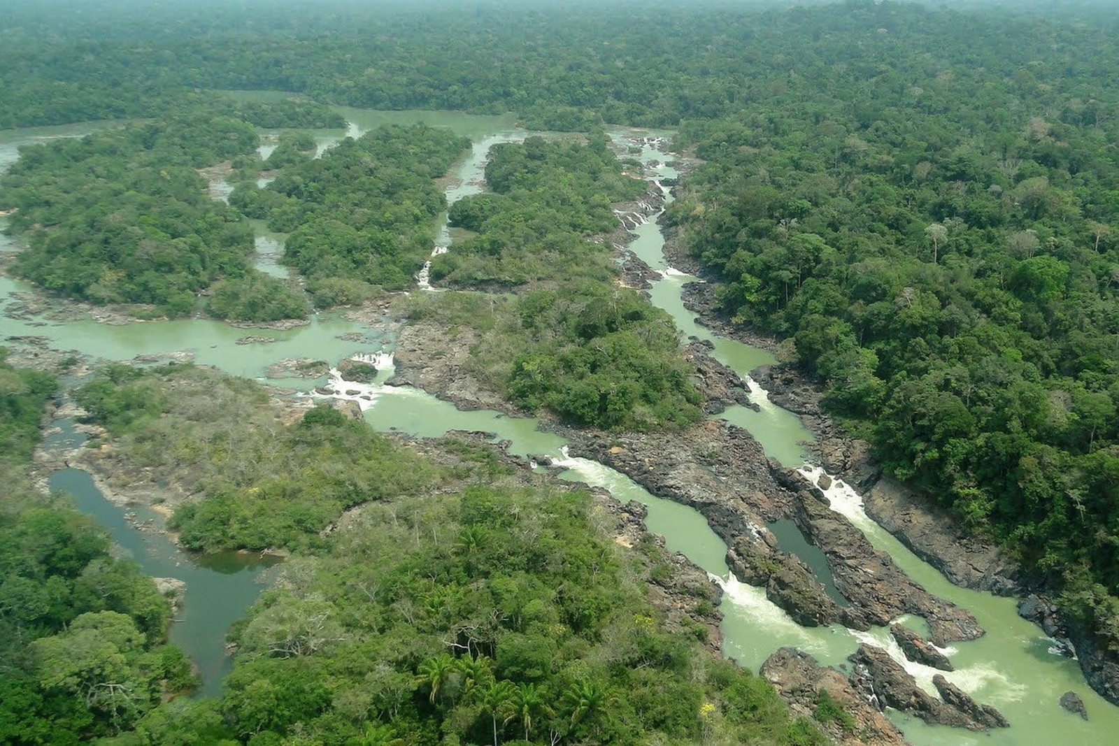 STF valida lei que autoriza uso de área do Parque Nacional do Jamanxim para Ferrogrão