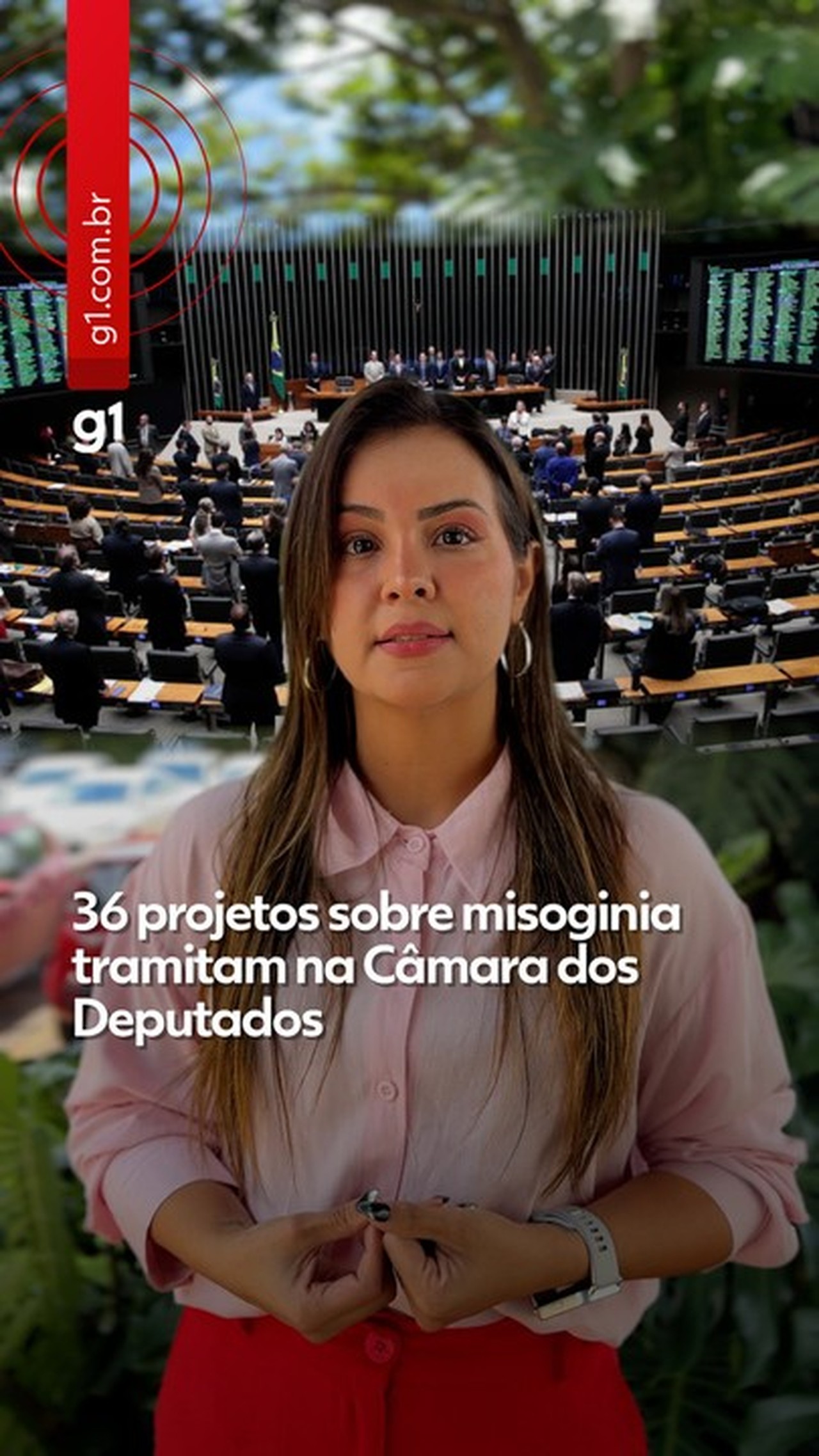 Câmara pode votar PL da Misoginia que equipara crime ao racismo e prevê penas mais rigorosas
