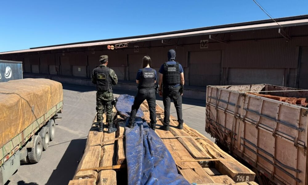 Maior apreensão de cocaína em madeira no Brasil ocorre em operação na fronteira de MT e MS - maior apreensão de cocaína no Brasil