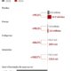 Eleitorado negro e pardo atinge recorde de 20 milhões nas eleições de 2026, aponta TSE - eleitorado negro 2026