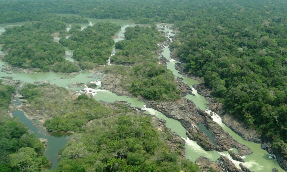 Câmara aprova projeto que reduz área de proteção na Amazônia e flexibiliza uso na Floresta Nacional do Jamanxim - redução área de proteção Amazônia