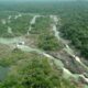 Câmara aprova projeto que reduz área de proteção na Amazônia e flexibiliza uso na Floresta Nacional do Jamanxim - redução área de proteção Amazônia