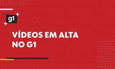 Natasha Franceschi assume como nova encarregada de negócios dos EUA no Brasil em julho - Encarregada de negócios EUA Brasil