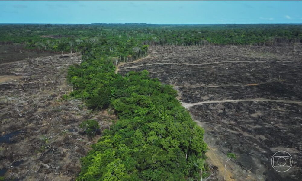 Pacote Ruralista Aprovado na Câmara Gera Polêmica e Críticas por Fragilizar Fiscalização Ambiental - pacote ruralista Câmara