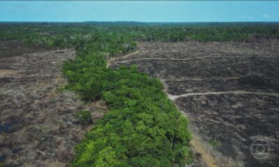 Pacote Ruralista Aprovado na Câmara Gera Polêmica e Críticas por Fragilizar Fiscalização Ambiental - pacote ruralista Câmara