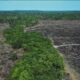 Pacote Ruralista Aprovado na Câmara Gera Polêmica e Críticas por Fragilizar Fiscalização Ambiental - pacote ruralista Câmara