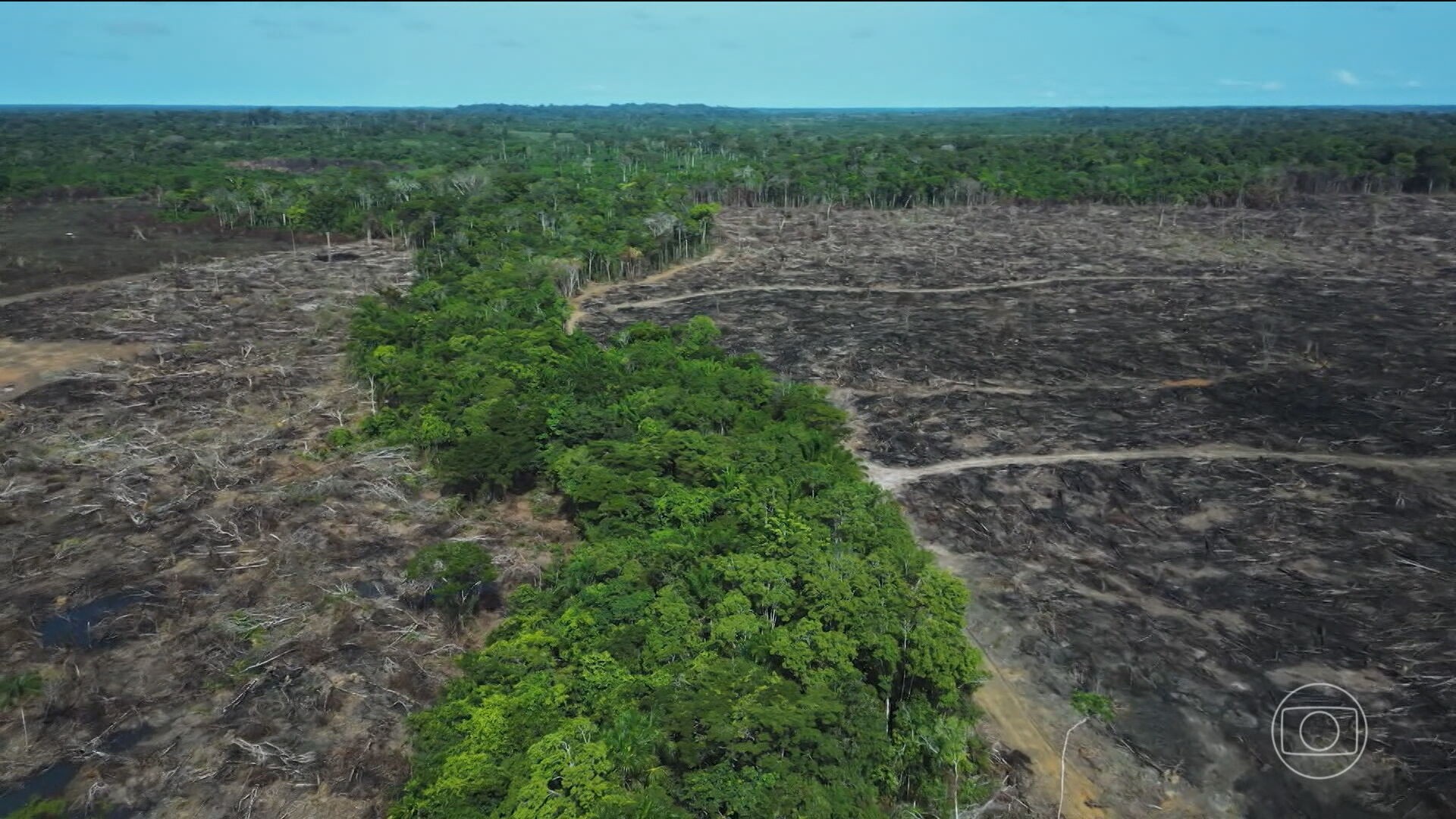 Pacote Ruralista Aprovado na Câmara Gera Polêmica e Críticas por Fragilizar Fiscalização Ambiental - pacote ruralista Câmara