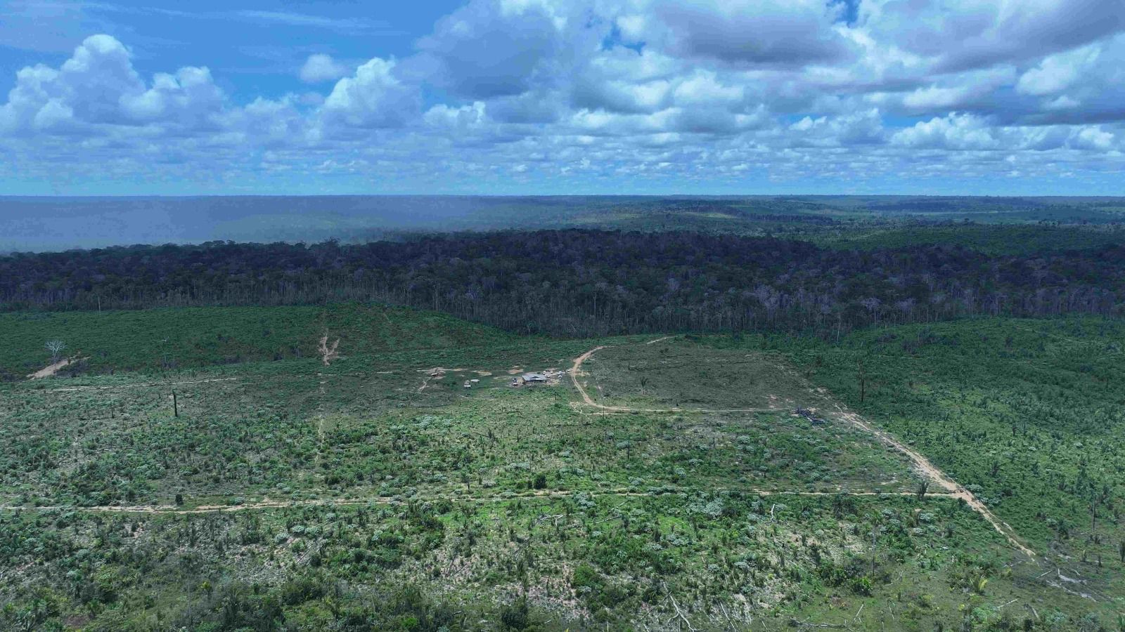 Projetos aprovados na Câmara que enfraquecem proteção ambiental seguem para análise no Senado