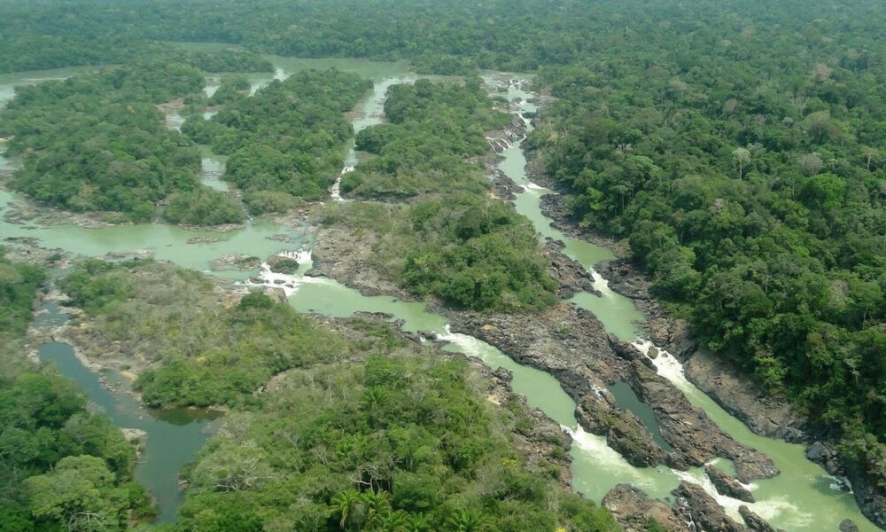 STF valida lei que autoriza uso de área do Parque Nacional do Jamanxim para Ferrogrão