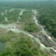 STF valida lei que autoriza uso de área do Parque Nacional do Jamanxim para Ferrogrão