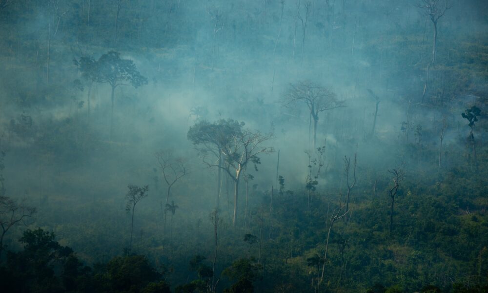 Super El Niño: Flávio Dino determina prazo para planos de combate a incêndios na Amazônia e Pantanal