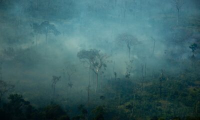 Super El Niño: Flávio Dino determina prazo para planos de combate a incêndios na Amazônia e Pantanal