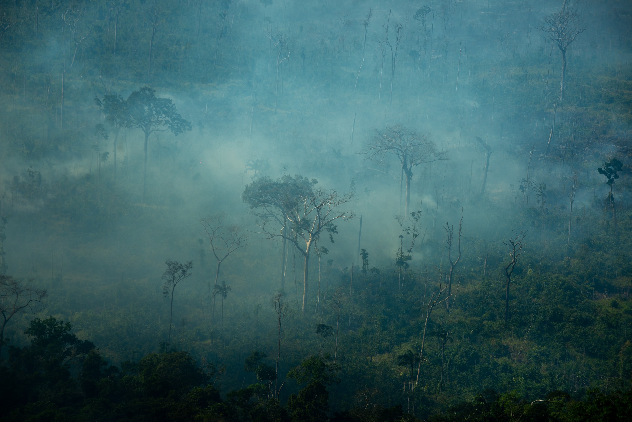 Super El Niño: Flávio Dino determina prazo para planos de combate a incêndios na Amazônia e Pantanal
